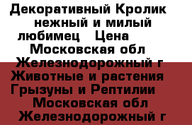 Декоративный Кролик - нежный и милый любимец › Цена ­ 500 - Московская обл., Железнодорожный г. Животные и растения » Грызуны и Рептилии   . Московская обл.,Железнодорожный г.